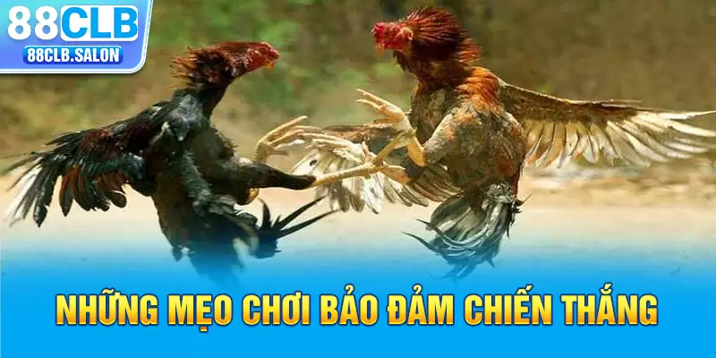 Những mẹo chơi bảo đảm chiến thắng