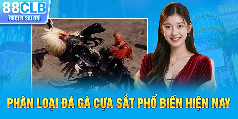 Phân loại đá gà cựa sắt phổ biến hiện nay