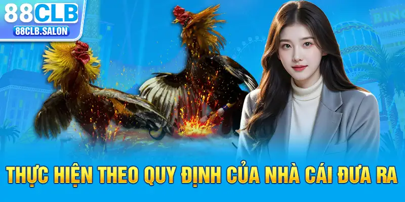 Thực hiện theo quy định của nhà cái đưa ra