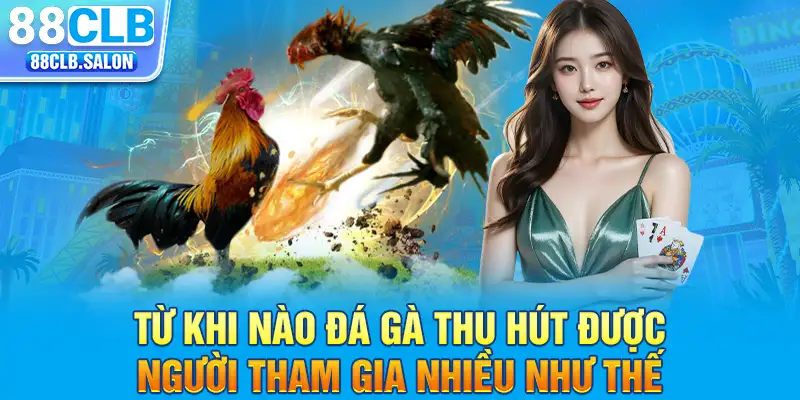 Từ khi nào đá gà thu hút được người tham gia nhiều như thế